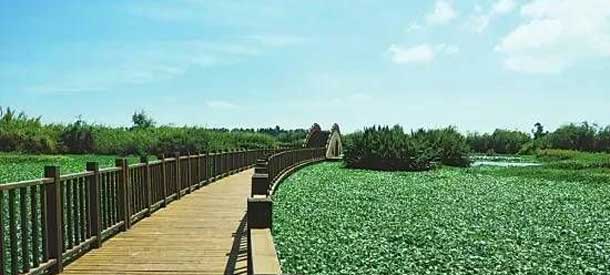呈贡滇池生态湿地公园