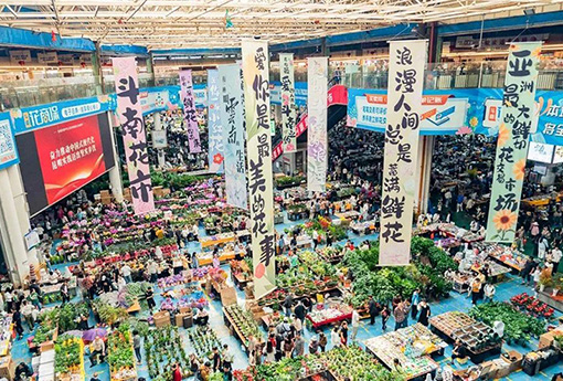 “亚洲花都”总有你想要的浪漫